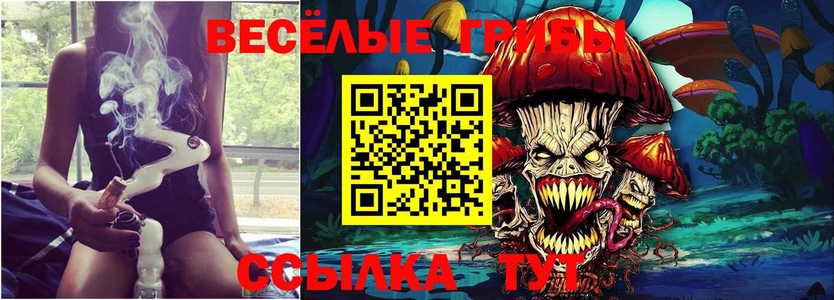 Галлюциногенные грибы Cubensis  Псилоцибиновые грибы мухоморы  Мыски  Вход с VPN 